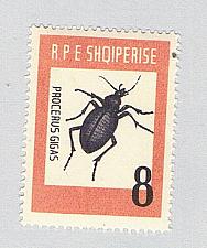 Buy Albania 662 MNH Beetle 1963 CV 7.50 (BP74417)