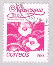 Buy Nicaragua Flower 100 (AP108702)