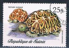 Buy Guinea C136 Used Turtles 1977 CV 1.60 (MV0302)