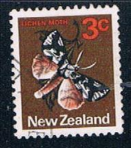 Buy New Zealand Flowers (NP29R702)
