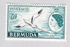 Buy Bermuda 152 Unused Tropic Bird 1953 CV 5.00 (BP64220)