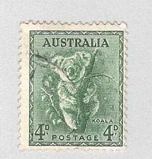 Buy Australia Tiger cat brown 8 Used (BP90031)