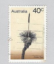 Buy Australia Used Grass tree 40 yellow (BP88902)