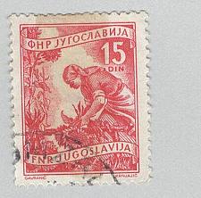 Buy Yugoslavia 347 Gathering Sunflowers Used (BP95105)