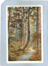 Buy New York Lake Placid The Long Path Whiteface Inn ny_box5~1703