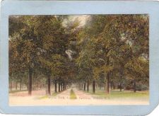 Buy New York Buffalo Cycle Path Lincoln Parkway ny_box4X1~2836