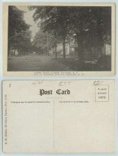 Buy New York Randolph Upper Main St Tree Lined Roadway Pub By Randolph News Co~127