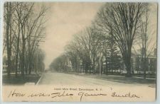 Buy New York Canandaigua Upper Main St Tree Lined Paved Road w/Old Buildings T~275