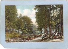 Buy New York Sacandaga Park Mush Park ny_box5~1970