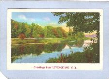 Buy New York Livingston Greetings From Livingston NY ny_box3~1212