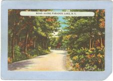 Buy New York Paradox Lake Road along Paradox Lake N Y ny_box5~1385