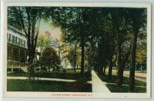 Buy New York Hempstead Long Island Postcard Fulton Street Tree Lined Residenti~253