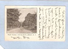 Buy New York Hobart Maple Ave Looking North ny_box3~1284