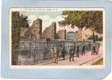 Buy New York Buffalo Bear Pits Park Zoo ny_box4X1~2898 Buy New York Buffalo Bear Pits Park Zoo ny_box4X1~2898