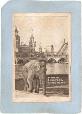 Buy New York Coney Island Amusement Park Postcard Luna Park Scene w/Elephant t~425