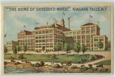 Buy New York Niagara Falls The Home Of Shredded Wheat View Of Shredded Wheat F~269