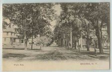 Buy New York Medina Park Ave Tree Lined Unpaved Road w/Old Houses~281