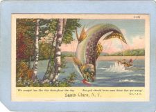 Buy New York Santa Clara Santa Clara N Y ny_box5~1903