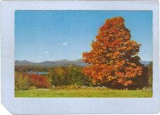 Buy New York Plattsburgh Greetings From Plattsburgh NY ny_box3~1156