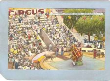 Buy New York Coney Island Amusement Park Postcard Steeplechase Park Circus Sce~381