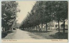 Buy New York Caledonia View On East Ave Tree Lined dirt Road w/Old Houses~224