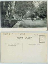 Buy New York Forestville Pearl St Unpaved Road Horse and Wagon~130