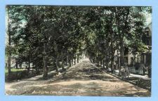 Buy New York New Rochelle Burlington Lane Tree Lined Street Scene w/Old Houses~411