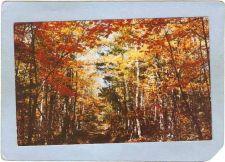 Buy New York Tupper Lake Greetings From Tupper Lake ny_box5~1815