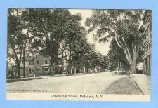Buy New York Potsdam Lower Elm St Tree Lined Unpaved Road w/Old Houses ~325