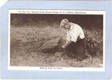 Buy New York Grand Gorge Setting Trap For Furs ny_box3~1331