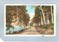 Buy New York Schroon Lake Birches Along The East Shore Of Schroon Lake ny_box5~1781