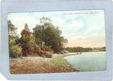 Buy New York Chautauqua Long Point Chautauqua Lake ny_box5~1839