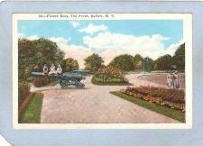 Buy New York Buffalo Flower Beds The Front ny_box4~2531