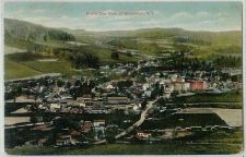 Buy New York Worcester Birds Eye View Long View Of Village and Mountains~290