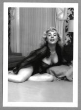 Buy BETTY BROSMER BUSTY BOSOMY PINUP MODEL 5X7 BB-15