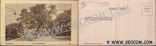 CT Norwich Postcard The Old Breed Elm ct_box4~2406