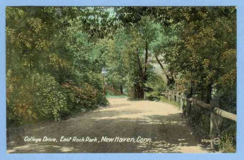 CT New Haven College Drive East Rock Park View Of Tree Lined Dirt Road w/W~626