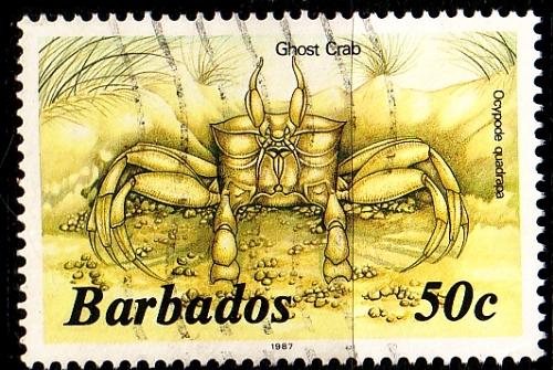 BARBADOS [1985] MiNr 0626 X II ( O/used ) Tiere 1987