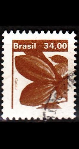 BRASILIEN BRAZIL [1980] MiNr 1758 ( O/used ) Pflanzen