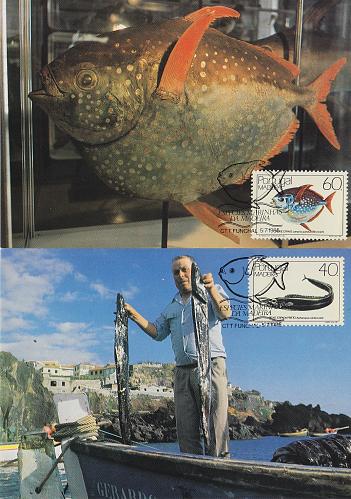 PORTUGAL [Madeira] MiNr 0098-99 ( Maxi ) Fische
