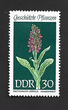 German DDR MNH Scott #1098 Catalog Value $.30