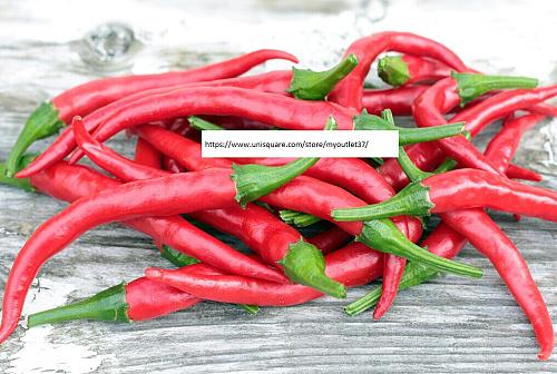 Cayenne Pepper Seeds - Vegetable Seeds - BOGO