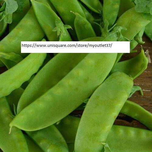 Snow Pea Seeds - Vegetable Seeds - BOGO