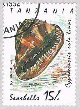 Tanzania Seashell 15 (AP108417)