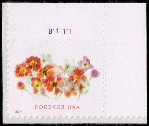 US #5681 Tulips P# Single; MNH |USA5681-06