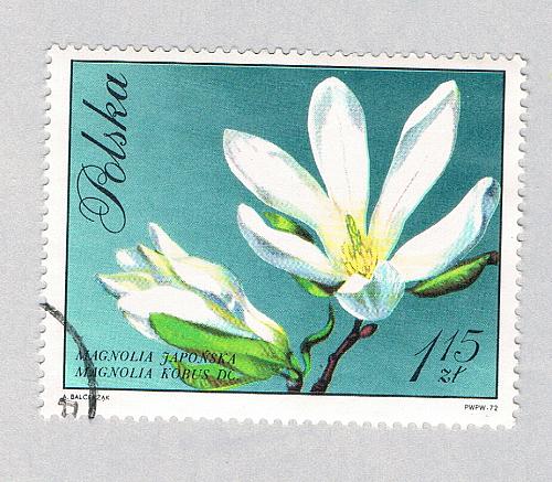 Poland Flower white 115za 2 (AP134807)