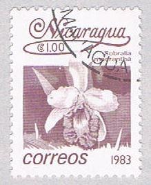 Nicaragua Orchid 1 (AP117012)