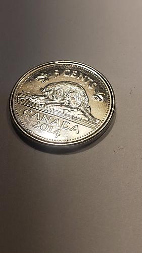 2014 Canada 5 Cent Beaver Nickel HIGH GRADE