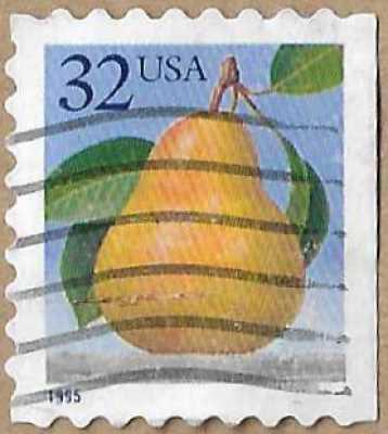Pear 15929