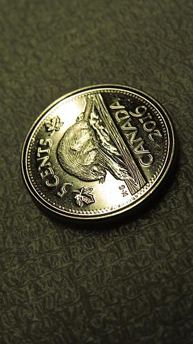 2016 Canada 5cent 5cents 5c UNC Five Cents Canadian Beaver Nickel Elizabeth II